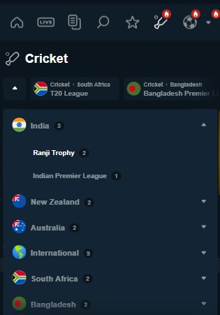 Rajabets Cricket Review